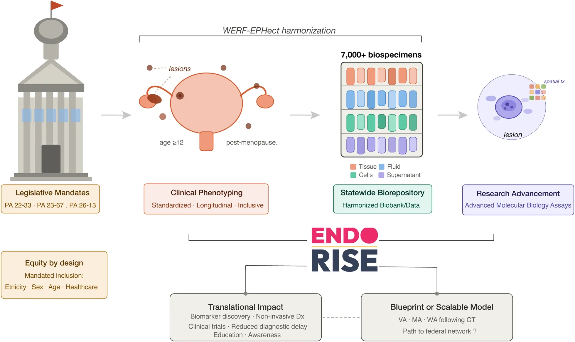 EndoRISE Published in Frontiers in Reproductive Health